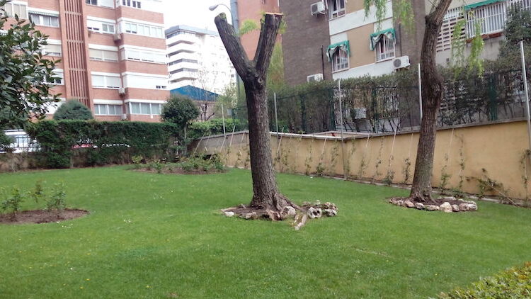 mantenimiento-jardines-madrid-ocean-2-1