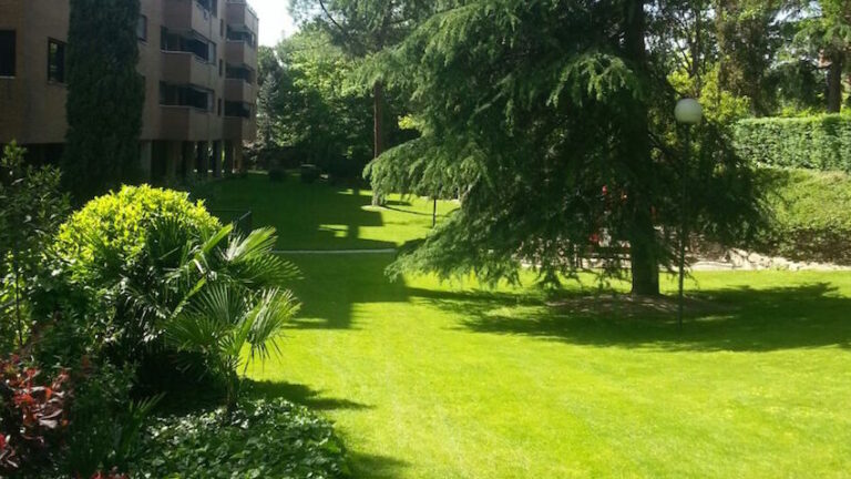 mantenimiento-jardines-madrid-ocean-7-1