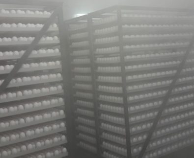 Fog in place Fog in place