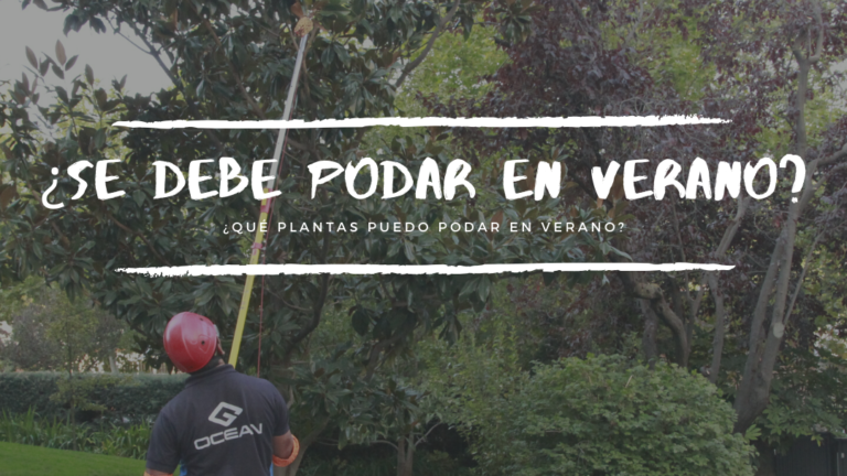 podar en verano