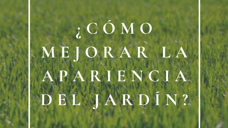 Copia de ¿Se debe podar en verano_ (2)