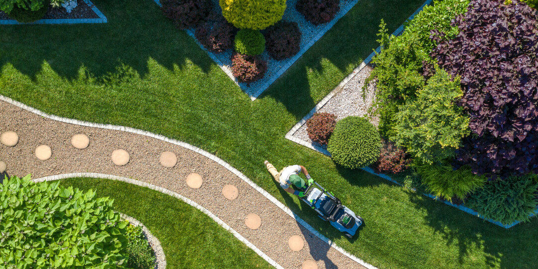 Caucasian Gardener With Grass Mower Trimming Beautiful Backyard